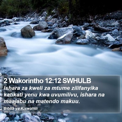 2 Wakorintho 12:12 SWHULB Bible Verse Image