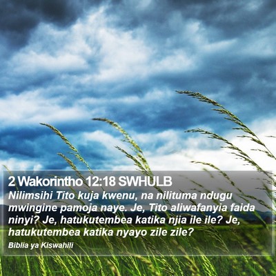 2 Wakorintho 12:18 SWHULB Bible Verse Image