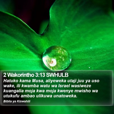 2 Wakorintho 3:13 SWHULB Bible Verse Image