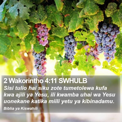2 Wakorintho 4:11 SWHULB Bible Verse Image