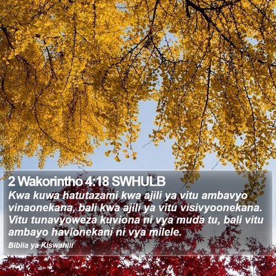 2 Wakorintho 4:18 SWHULB Bible Verse Image