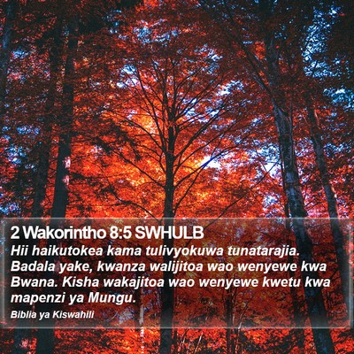 2 Wakorintho 8:5 SWHULB Bible Verse Image