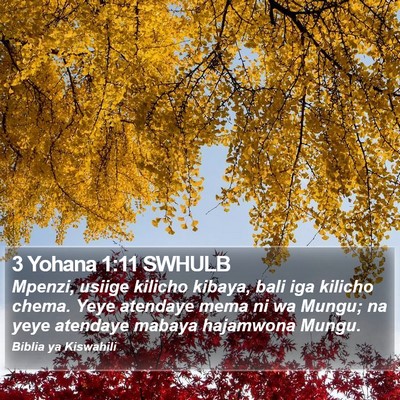 3 Yohana 1:11 SWHULB Bible Verse Image