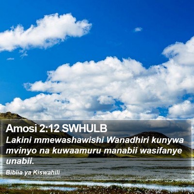 Amosi 2:12 SWHULB Bible Verse Image