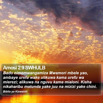Amosi 2:9 SWHULB Bible Verse Image