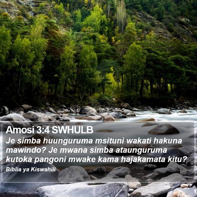 Amosi 3:4 SWHULB Bible Verse Image