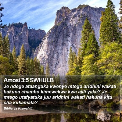Amosi 3:5 SWHULB Bible Verse Image