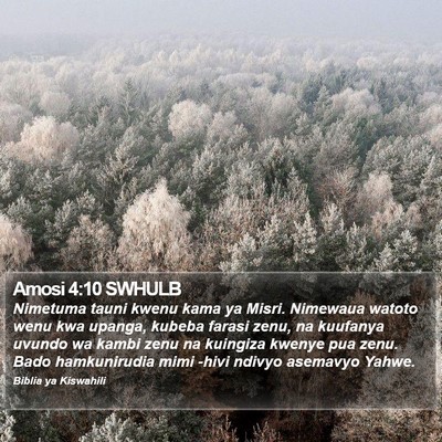 Amosi 4:10 SWHULB Bible Verse Image