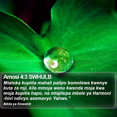 Amosi 4:3 SWHULB Bible Verse Image