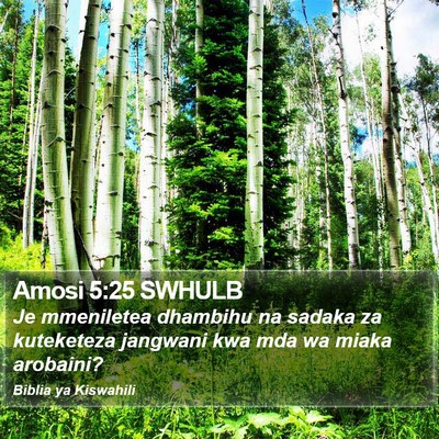 Amosi 5:25 SWHULB Bible Verse Image