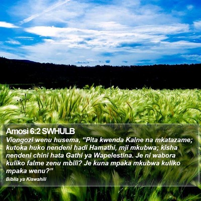 Amosi 6:2 SWHULB Bible Verse Image
