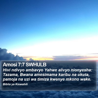 Amosi 7:7 SWHULB Bible Verse Image