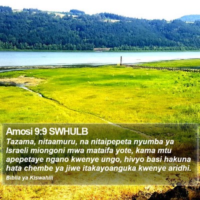 Amosi 9:9 SWHULB Bible Verse Image