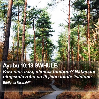 Ayubu 10:18 SWHULB Bible Verse Image