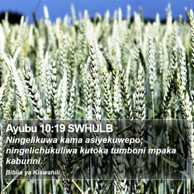 Ayubu 10:19 SWHULB Bible Verse Image