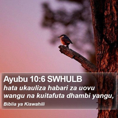 Ayubu 10:6 SWHULB Bible Verse Image