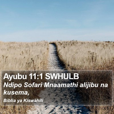 Ayubu 11:1 SWHULB Bible Verse Image