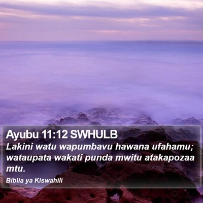 Ayubu 11:12 SWHULB Bible Verse Image