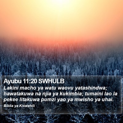 Ayubu 11:20 SWHULB Bible Verse Image