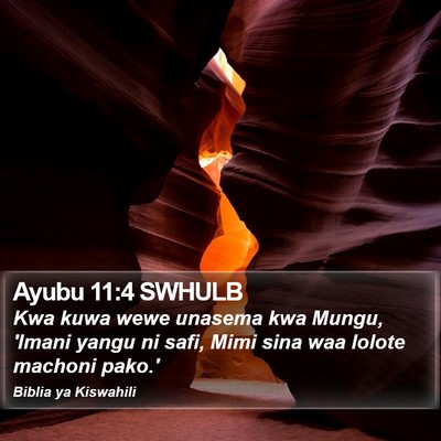 Ayubu 11:4 SWHULB Bible Verse Image
