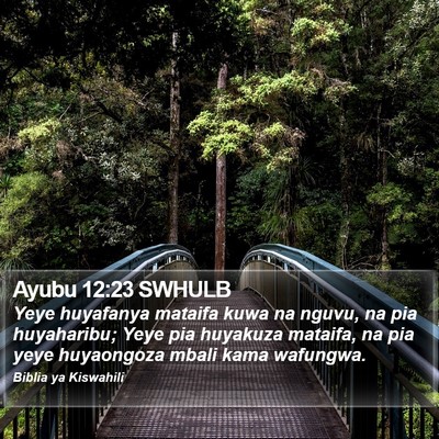 Ayubu 12:23 SWHULB Bible Verse Image