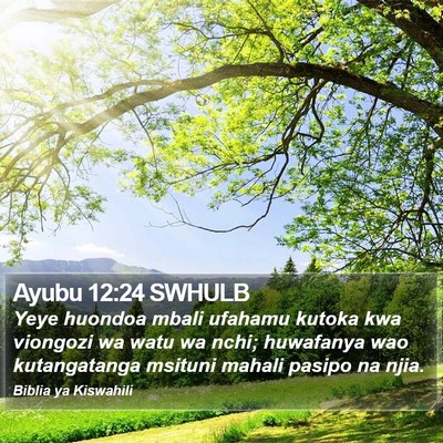 Ayubu 12:24 SWHULB Bible Verse Image