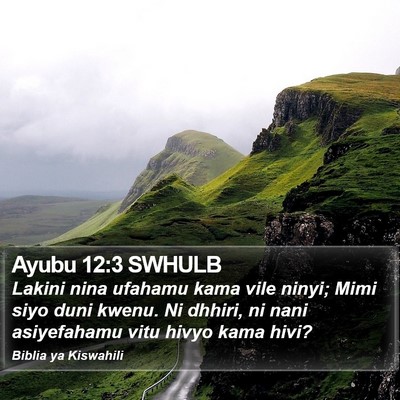 Ayubu 12:3 SWHULB Bible Verse Image