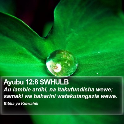 Ayubu 12:8 SWHULB Bible Verse Image