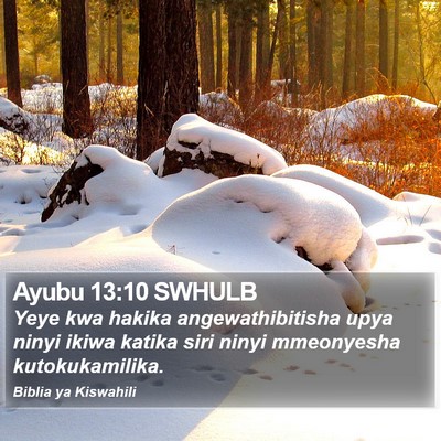 Ayubu 13:10 SWHULB Bible Verse Image
