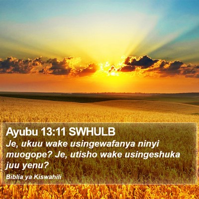 Ayubu 13:11 SWHULB Bible Verse Image