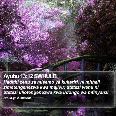 Ayubu 13:12 SWHULB Bible Verse Image
