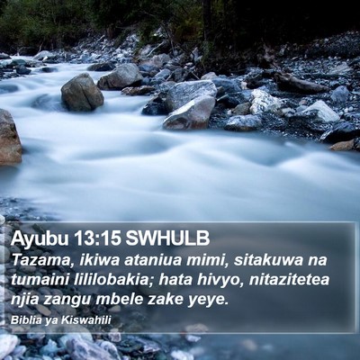 Ayubu 13:15 SWHULB Bible Verse Image