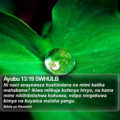 Ayubu 13:19 SWHULB Bible Verse Image