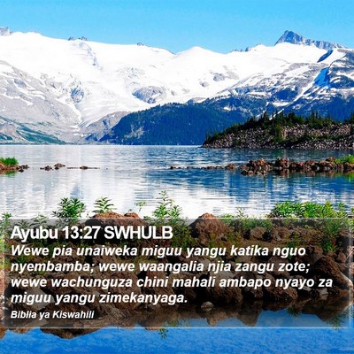 Ayubu 13:27 SWHULB Bible Verse Image