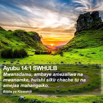 Ayubu 14:1 SWHULB Bible Verse Image