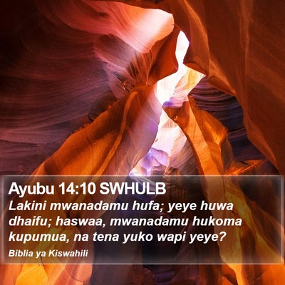 Ayubu 14:10 SWHULB Bible Verse Image