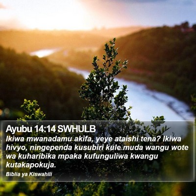 Ayubu 14:14 SWHULB Bible Verse Image