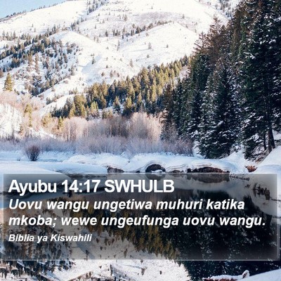 Ayubu 14:17 SWHULB Bible Verse Image