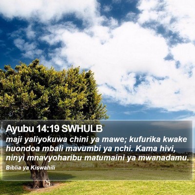 Ayubu 14:19 SWHULB Bible Verse Image