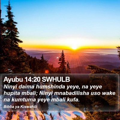 Ayubu 14:20 SWHULB Bible Verse Image