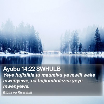 Ayubu 14:22 SWHULB Bible Verse Image