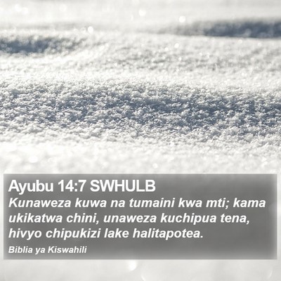 Ayubu 14:7 SWHULB Bible Verse Image