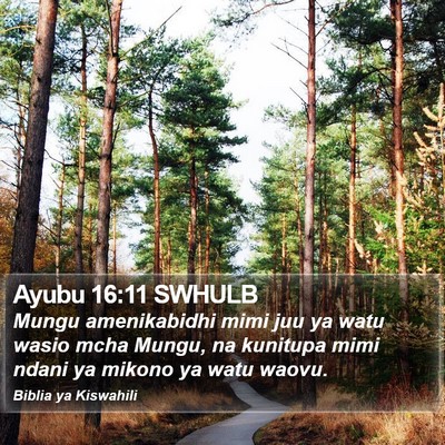 Ayubu 16:11 SWHULB Bible Verse Image