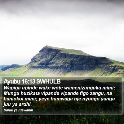 Ayubu 16:13 SWHULB Bible Verse Image