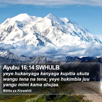 Ayubu 16:14 SWHULB Bible Verse Image