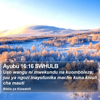 Ayubu 16:16 SWHULB Bible Verse Image