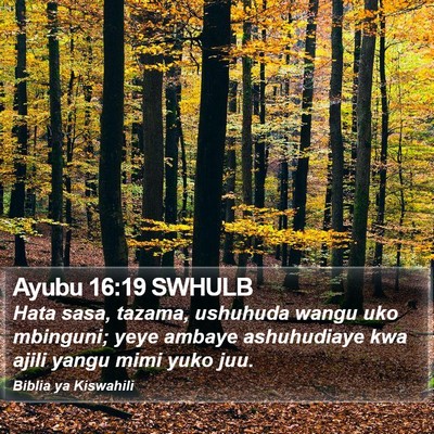 Ayubu 16:19 SWHULB Bible Verse Image