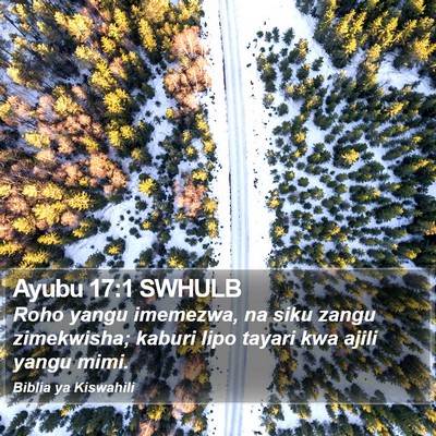 Ayubu 17:1 SWHULB Bible Verse Image