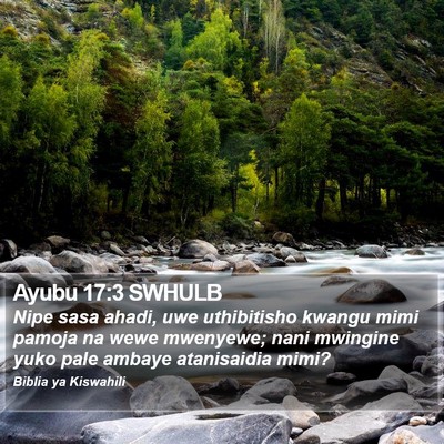 Ayubu 17:3 SWHULB Bible Verse Image