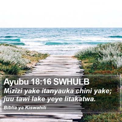 Ayubu 18:16 SWHULB Bible Verse Image